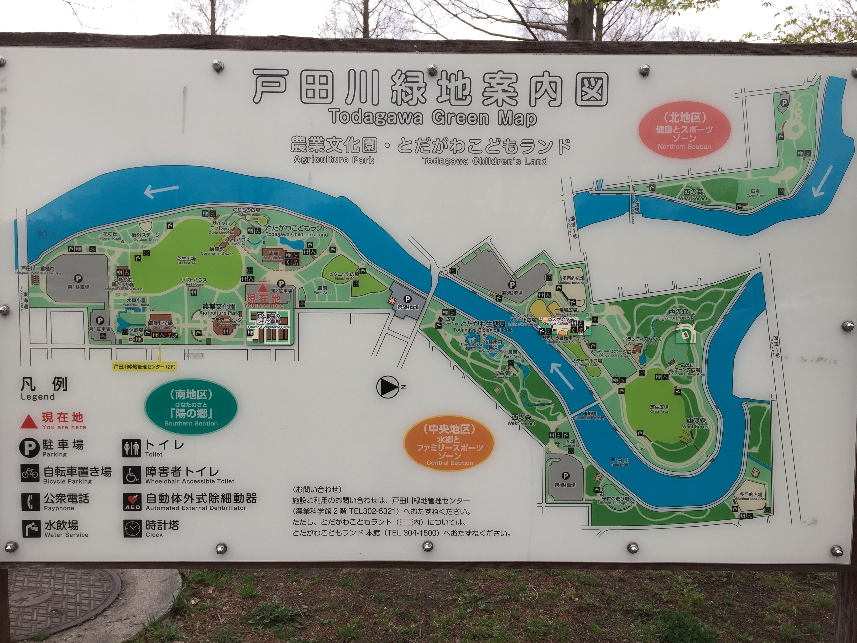 todagawaryokuchi-park-sakura