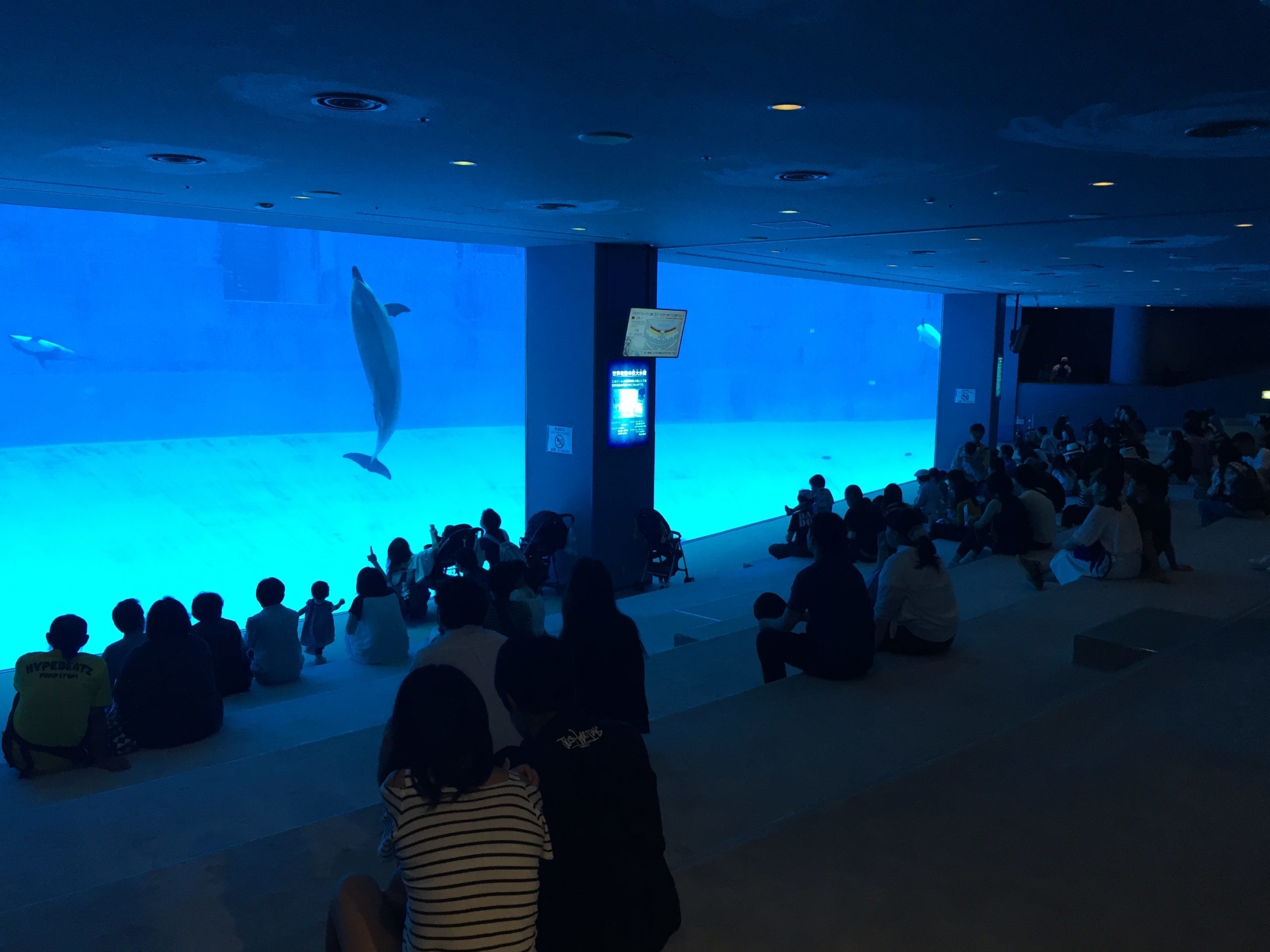 nagoyakou-aquarium-popular