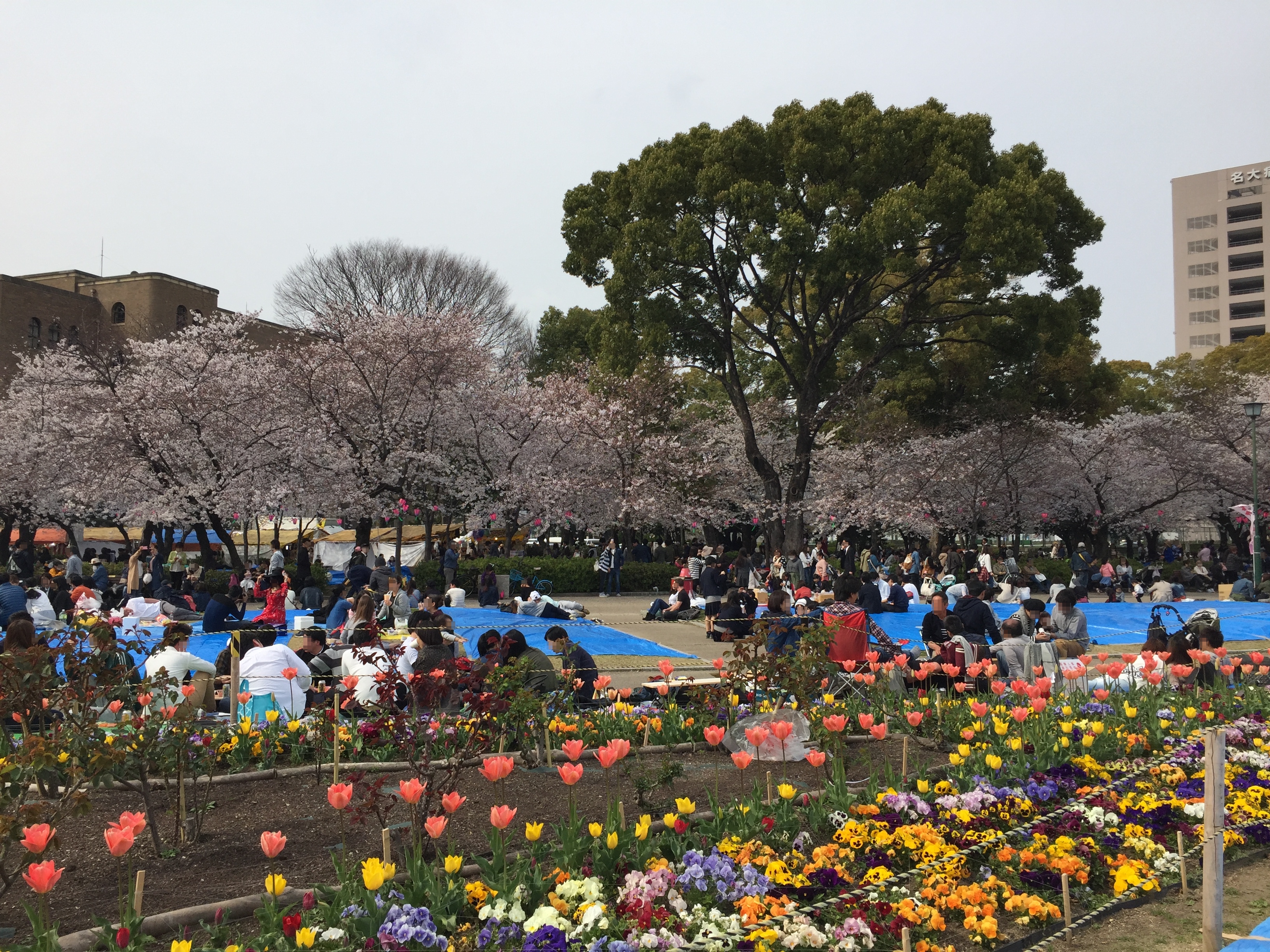 aichi-spring-spot