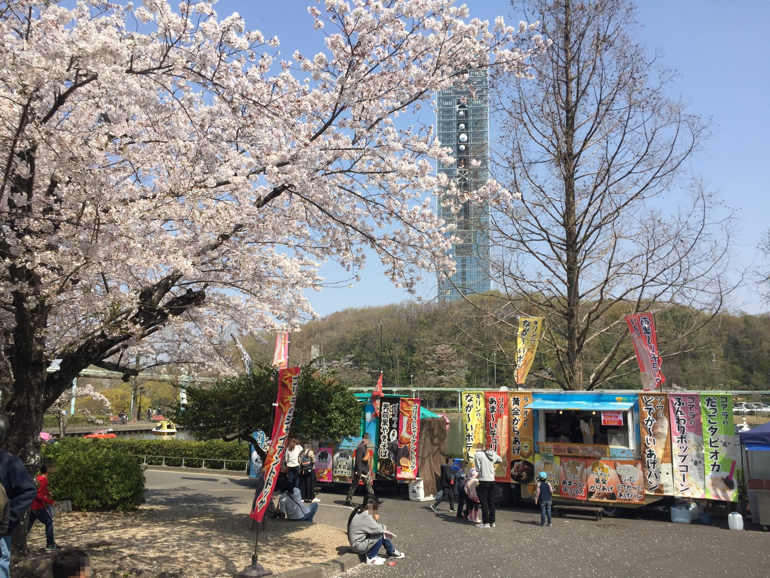higashiyama-zoo-sakura